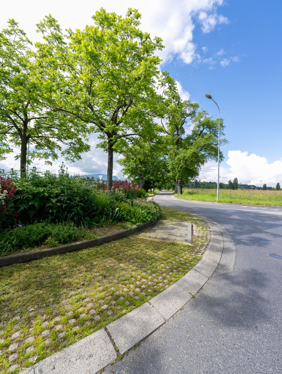 Route courbée bordée d'arbres verts et de buissons, avec un ciel bleu partiellement nuageux.