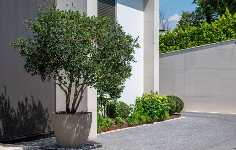 Arbre en pot à côté d'une maison moderne à Cologny avec des arbustes et des plantes le long d'un chemin pavé.