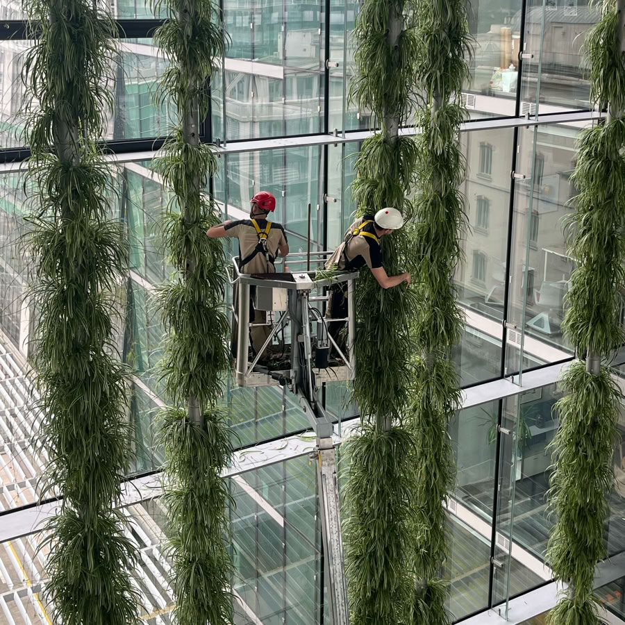 Votre jardinier à Genève et Vaud. Deux jardiniers Pottu & Seitz travaillent sur une nacelle élévatrice à l'intérieur d'un bâtiment en verre, entourées de longues plantes suspendues.