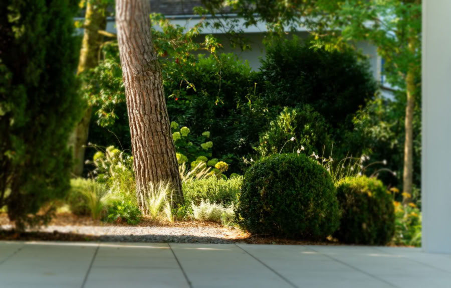 Vue d'un jardin avec des arbres, des buissons taillés et un sol carrelé au premier plan.
