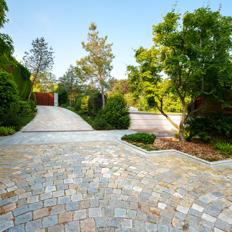 Jardin avec pelouse verte, arbustes, arbres et allée en pierre à Collonge-Bellerive.