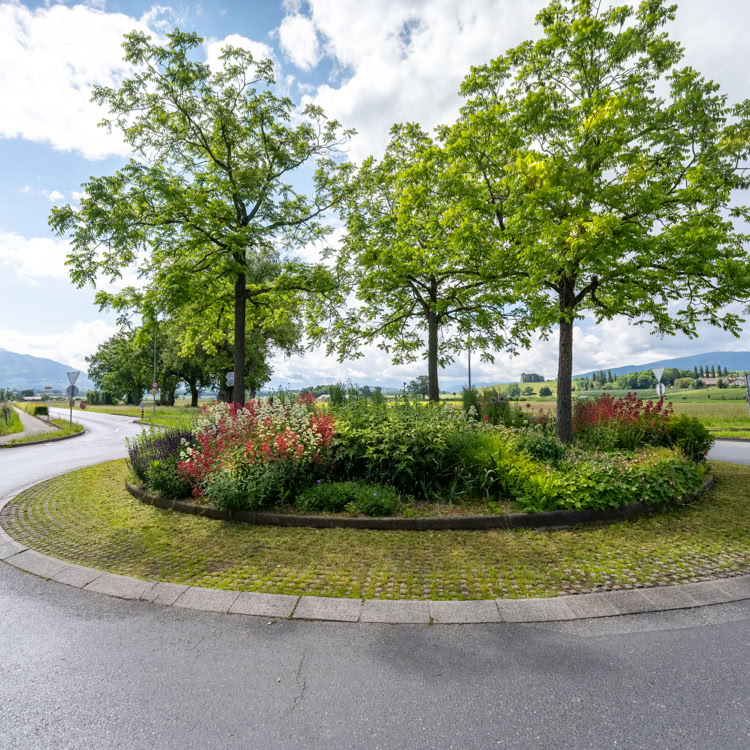Rond-point à Meinier avec des arbres et des fleurs au centre, entouré d'une route, ciel partiellement nuageux.