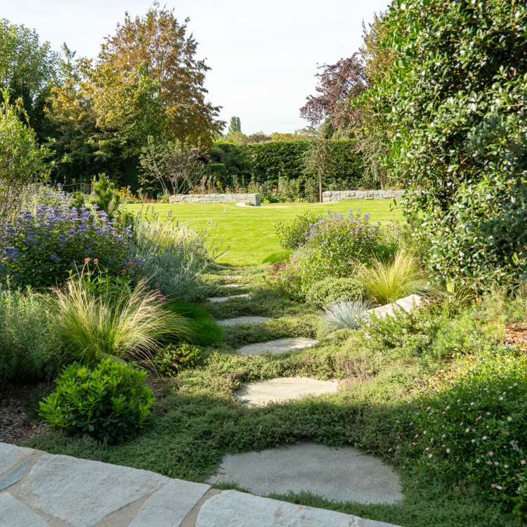 Jardin avec pelouse verte, arbustes, arbres et allée en pierre à Collonge-Bellerive.