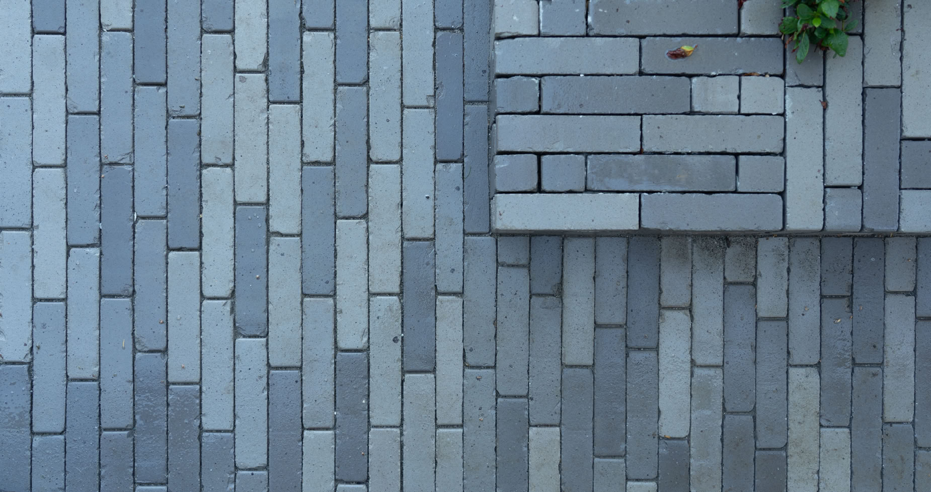 Mur en briques grises avec une petite section en relief et des feuilles vertes dans le coin supérieur droit.