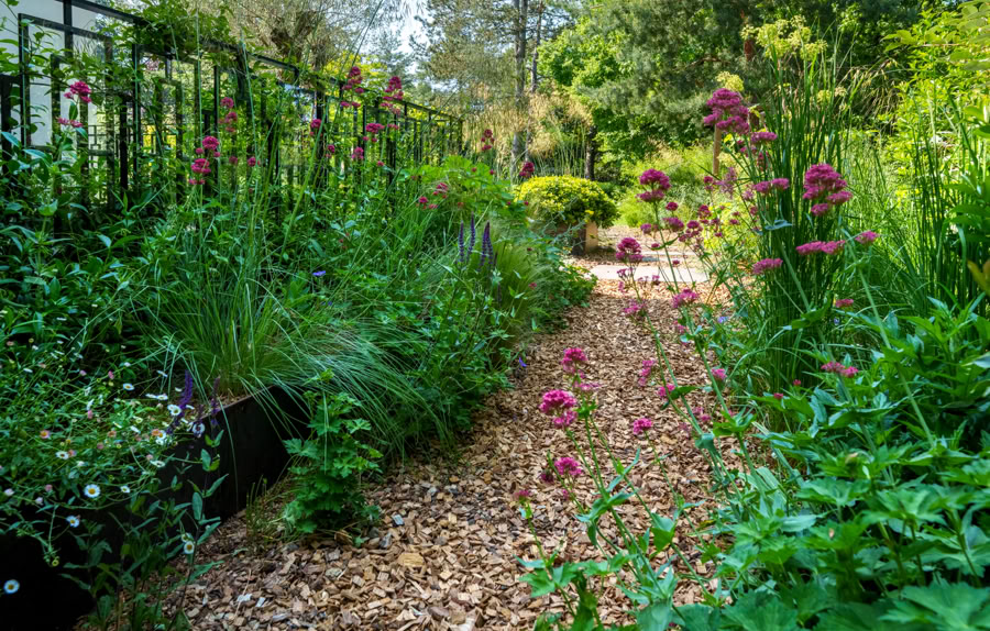 Chemin de gravier entouré de plantes vertes et de fleurs roses, avec une clôture en métal à gauche et des arbres en arrière-plan à Collonge-Bellerive.