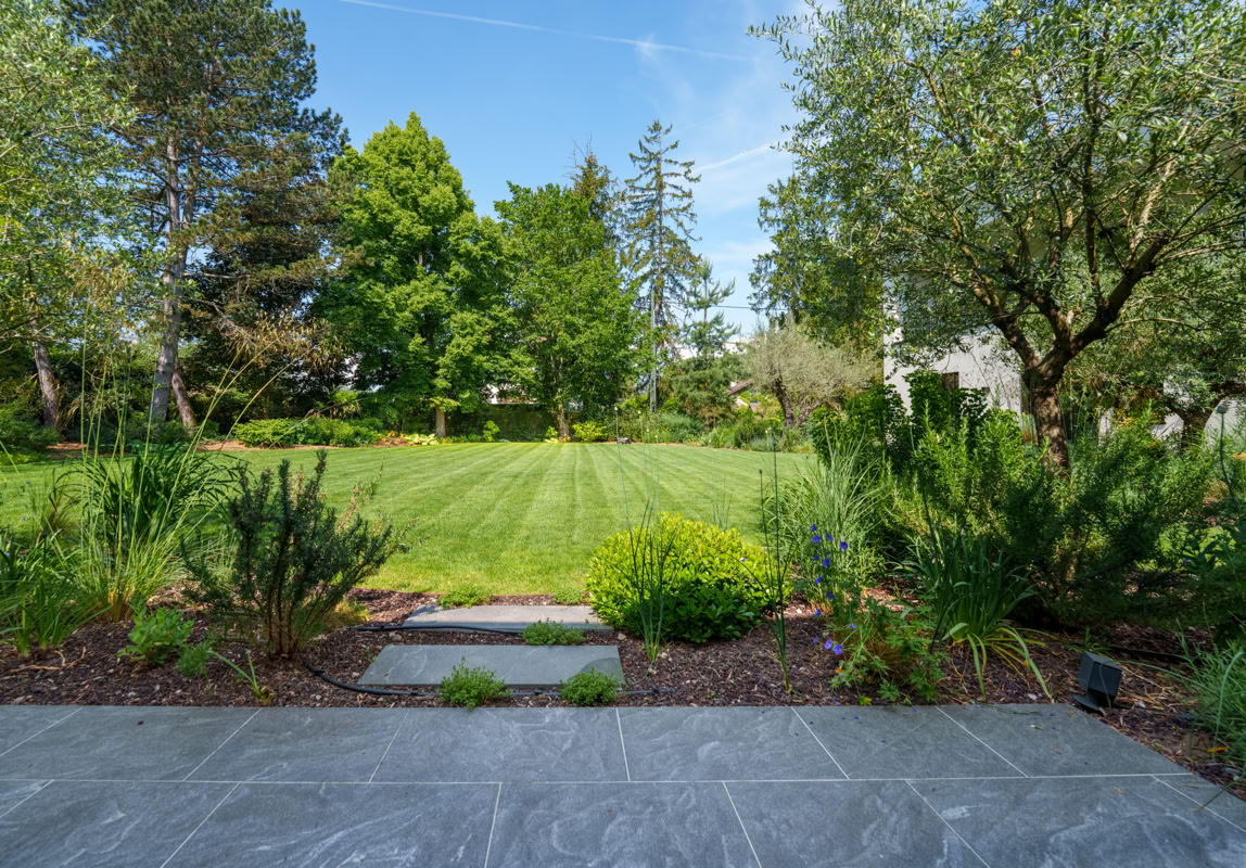 Jardin avec pelouse verte, arbres et arbustes entourant une terrasse en pierre grise.