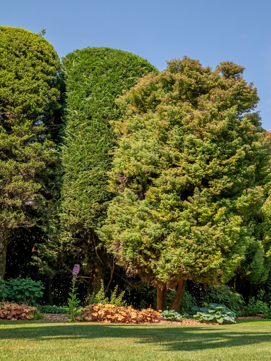 Pelouse verte avec des arbres variés en arrière-plan sous un ciel partiellement nuageux.