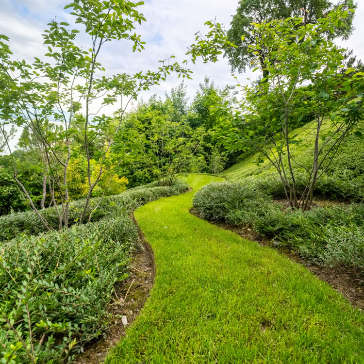 Un chemin sinueux en herbe entouré de buissons et d'arbres verts sous un ciel partiellement nuageux.