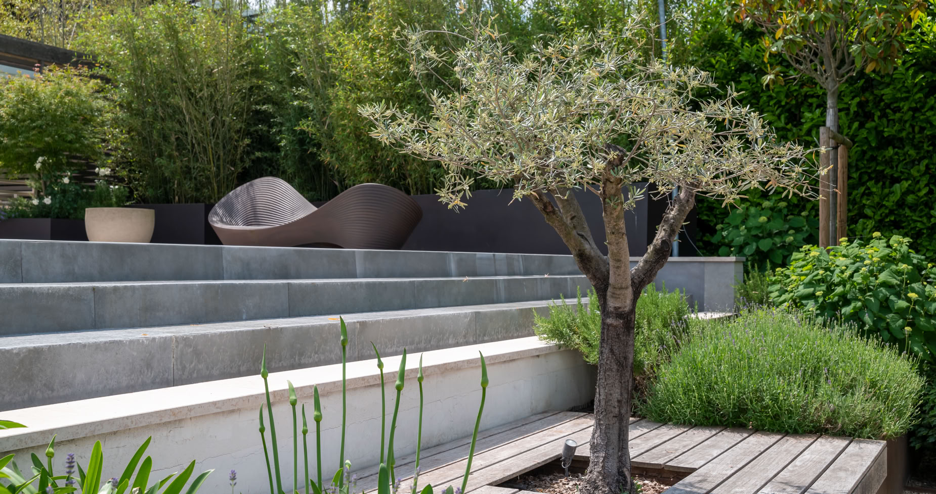 Jardin à Cologny avec une terrasse en béton, un petit arbre au premier plan, des plantes vertes et des arbustes autour.