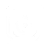 Icône Instagram