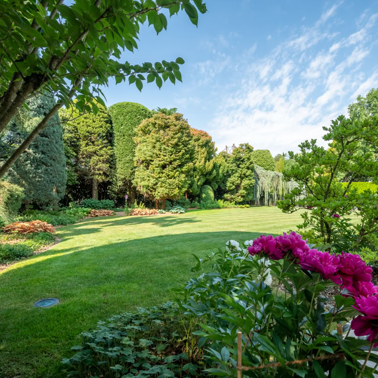 Jardin verdoyant avec pelouse, arbres, et fleurs roses au premier plan sous un ciel bleu.