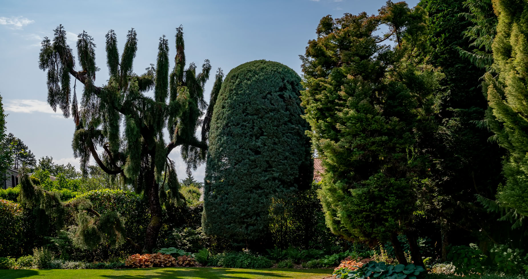 Jardin avec pelouse verte, arbres de différentes formes et tailles, ciel bleu en arrière-plan.