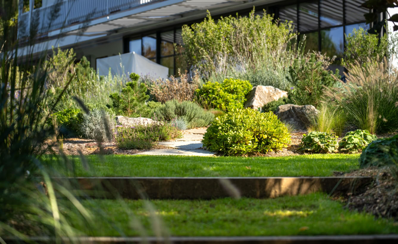Jardin avec pelouse verte, arbustes et plantes devant une maison moderne à Genève.