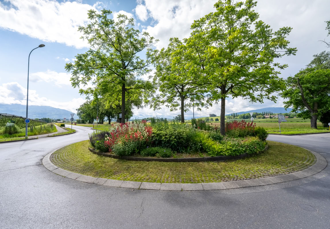 Rond-point avec des arbres et des fleurs au centre, entouré d'une route, ciel partiellement nuageux en arrière-plan.