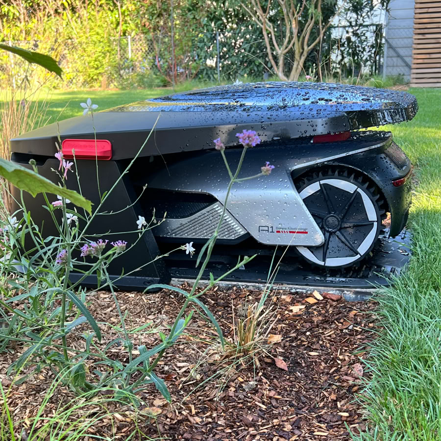 Tondeuse robotique Dreame grise et noire sur une pelouse avec des plantes autour.