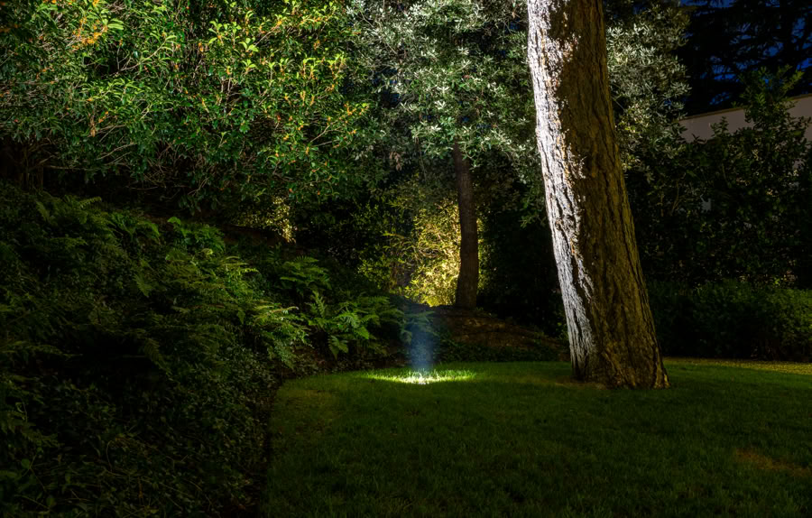 Pelouse éclairée la nuit avec des arbres et des buissons environnants.