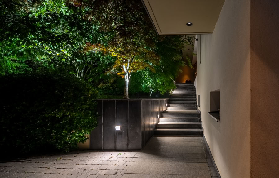 Chemin extérieur éclairé la nuit, bordé de buissons et d'arbres, avec un mur à droite.