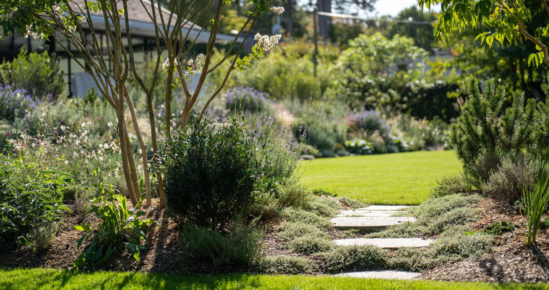Jardin à Collonge-Bellerive avec pelouse verte, arbres et arbustes, chemin en pierre au centre.