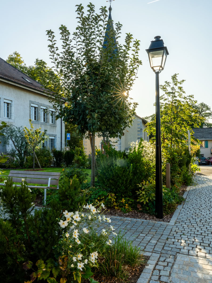 Parc d'école avec des fleurs blanches, lampadaire noir, chemin pavé, arbres et bâtiments en arrière-plan.