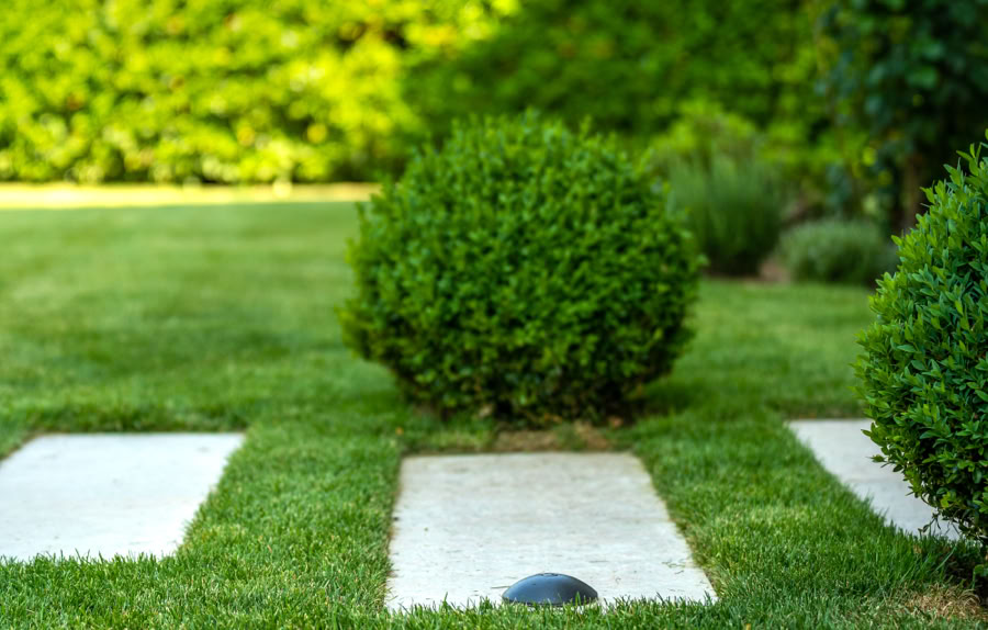 Allée de jardin avec des dalles blanches entourées de pelouse verte et de buissons taillés, haie en arrière-plan.