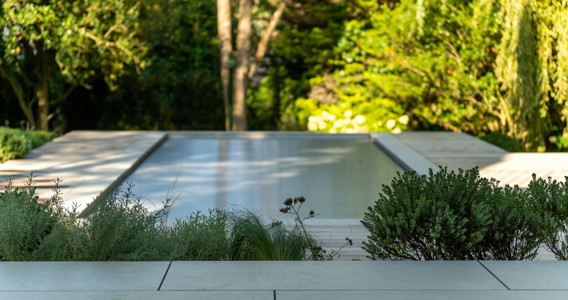 Aménagement jardin Collonge-Bellerive avec piscine rectangulaire entourée de végétation luxuriante avec des arbres en arrière-plan.