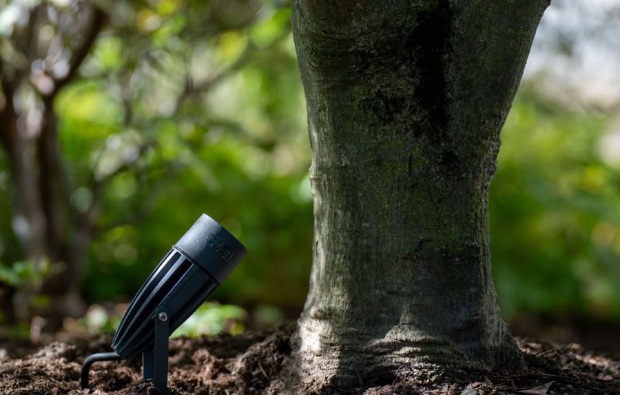 Tronc d'arbre avec un projecteur noir planté dans le sol, entouré de feuillage vert à Collonge-Bellerive.