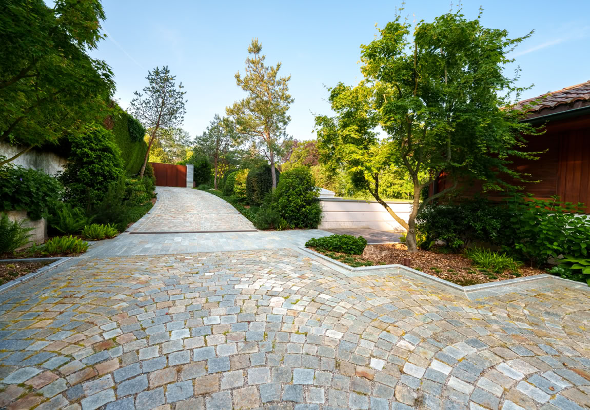 Allée pavée entourée d'arbres et de buissons, avec un ciel bleu en arrière-plan.