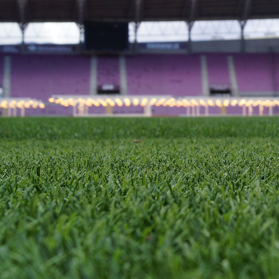 Pelouse verte du stade de la Praille à Genève avec des gradins vides en arrière-plan.