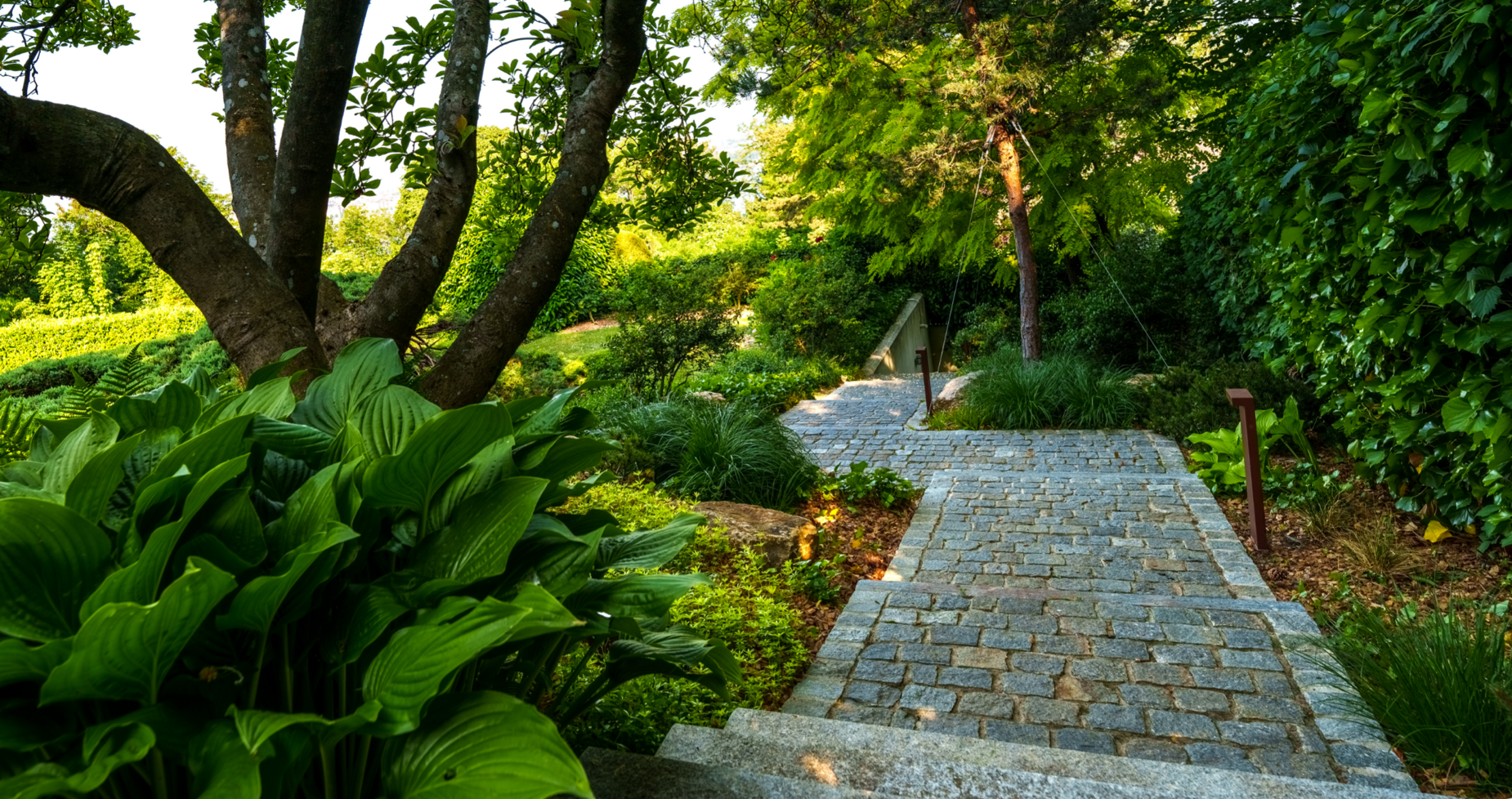 Chemin pavé entouré de verdure avec des arbres et des buissons.