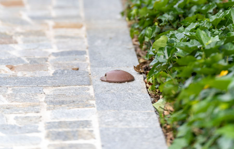 Allée pavée bordée de plantes vertes avec des lumières encastrées.