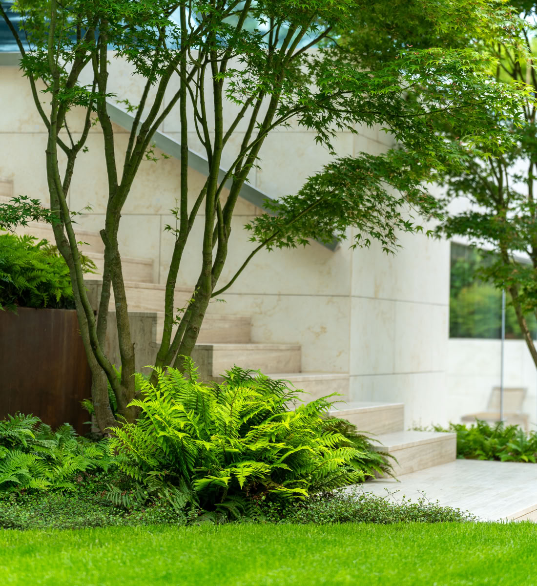 Arbre avec feuillage vert devant un bâtiment en pierre, entouré de plantes et d'herbe.