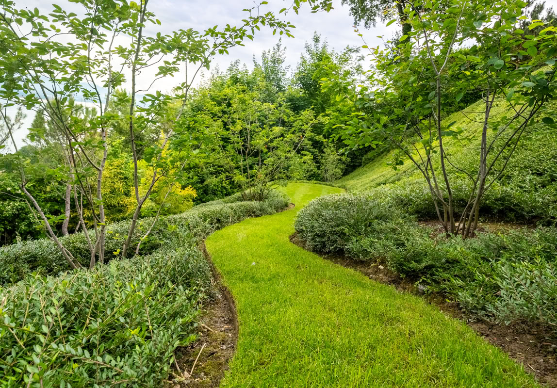 Chemin sinueux en herbe entouré de buissons et d'arbres verts sous un ciel partiellement nuageux.