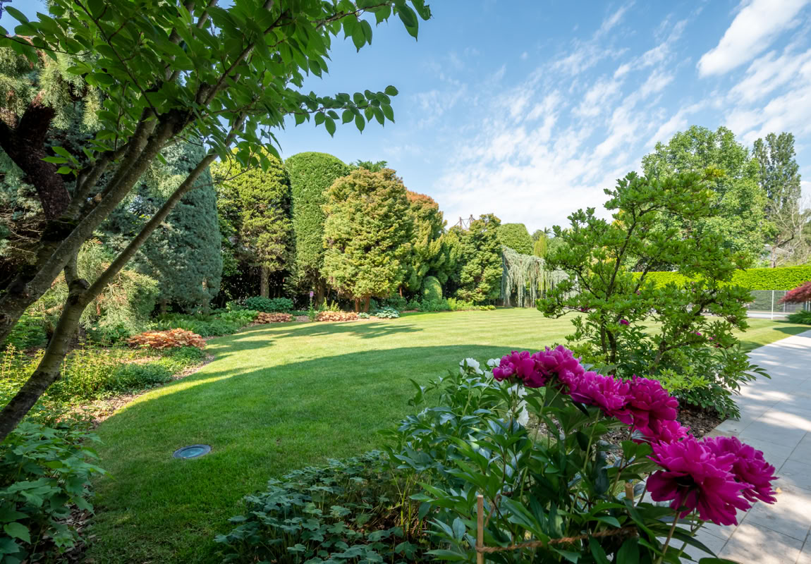 Jardin verdoyant avec pelouse, arbres, et fleurs roses au premier plan sous un ciel bleu.