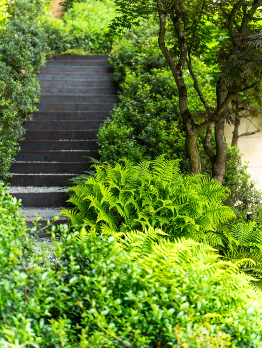 Escalier en bois entouré de verdure luxuriante et de buissons.