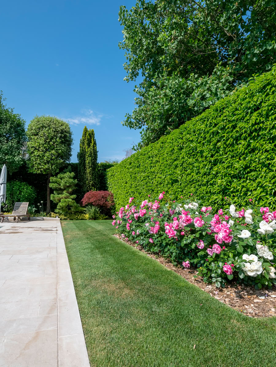 Piscine entourée de haies vertes, fleurs roses et blanches, et arbres en arrière-plan sous un ciel bleu.