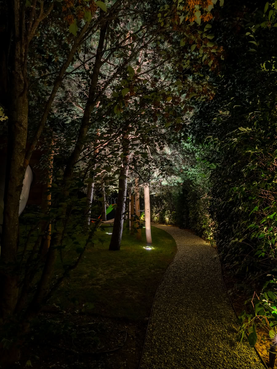 Allée de jardin à Versoix éclairée la nuit, bordée d'arbres et de buissons.