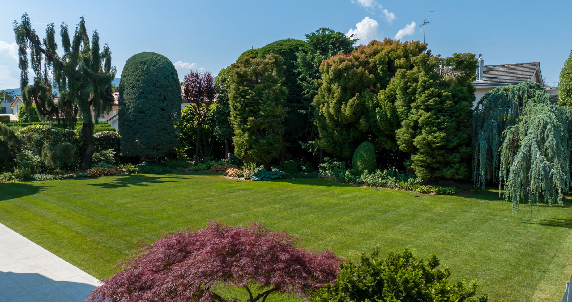 Aménagement jardin Cologny. Jardin avec pelouse verte, arbres variés, et ciel bleu en arrière-plan.