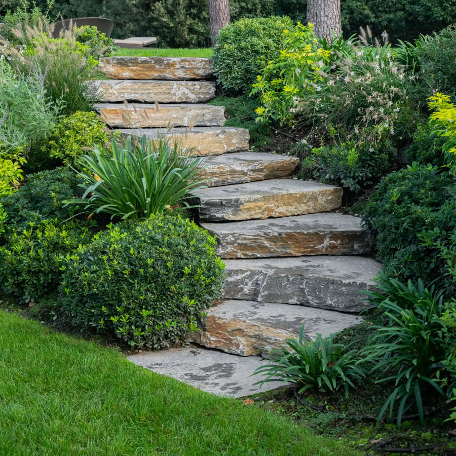 Paysagiste à Genève et Vaud. Escalier en pierre entouré de verdure et de buissons dans un jardin.